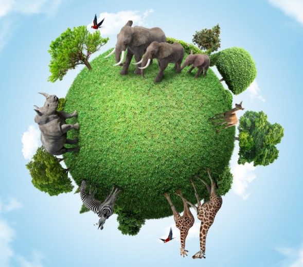 NATURALEZA